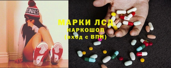 ПСИЛОЦИБИНОВЫЕ ГРИБЫ Новодвинск